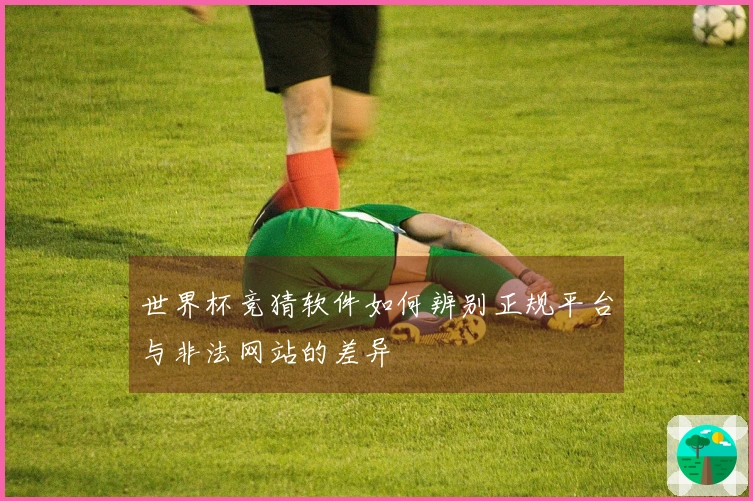世界杯竞猜软件如何辨别正规平台与非法网站的差异