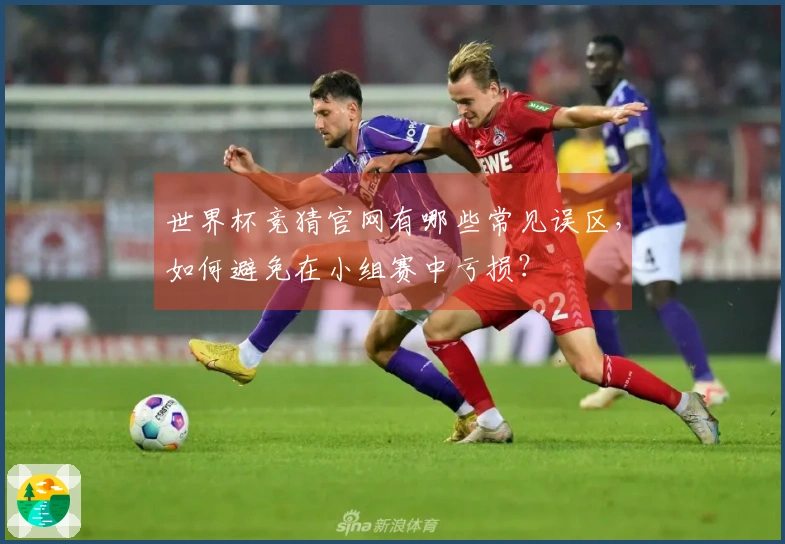 世界杯竞猜官网有哪些常见误区，如何避免在小组赛中亏损？