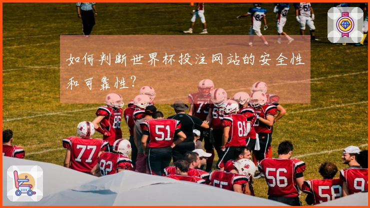如何判断世界杯投注网站的安全性和可靠性？