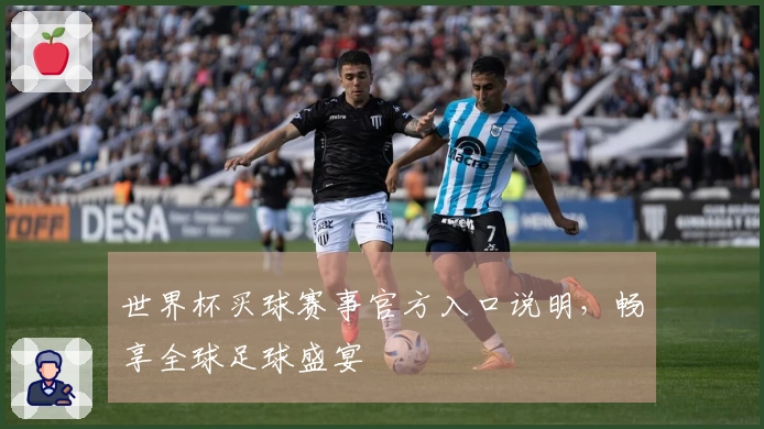 世界杯买球赛事官方入口说明，畅享全球足球盛宴