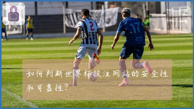 如何判断世界杯投注网站的安全性和可靠性？