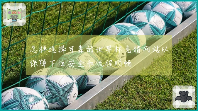 怎样选择可靠的世界杯竞猜网站以保障下注安全和流程顺畅