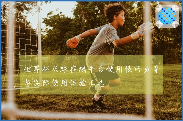 世界杯买球在线平台使用技巧分享与实际使用体验汇总