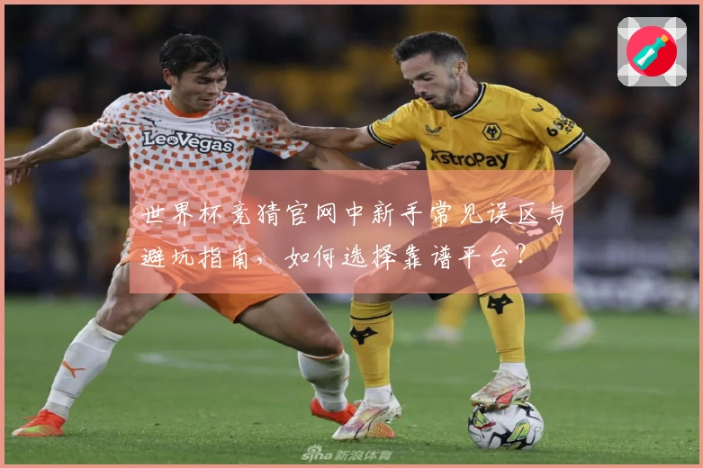 世界杯竞猜官网中新手常见误区与避坑指南，如何选择靠谱平台？