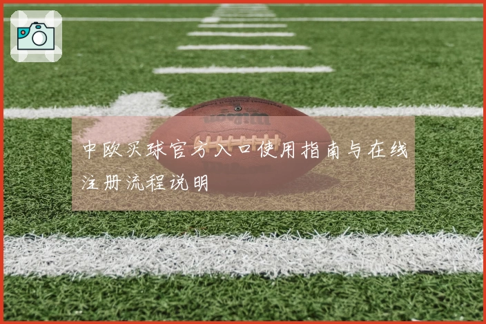 中欧买球官方入口使用指南与在线注册流程说明