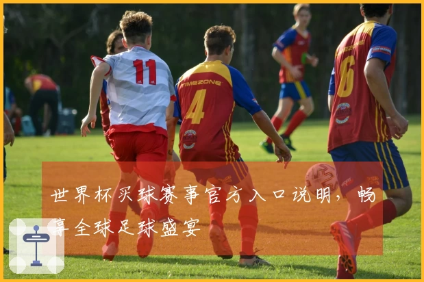 世界杯买球赛事官方入口说明,畅享全球足球盛宴