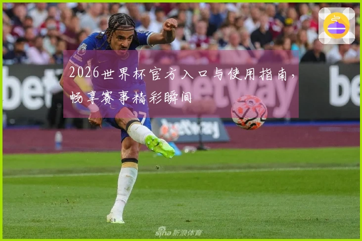 2026世界杯官方入口与使用指南,畅享赛事精彩瞬间