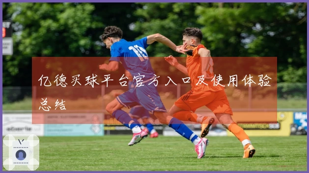 亿德买球平台官方入口及使用体验总结
