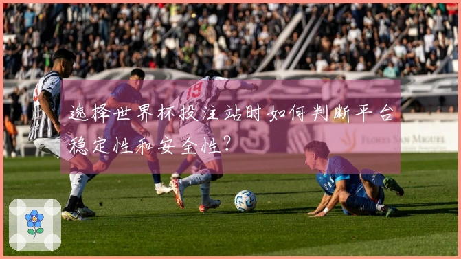 选择世界杯投注站时如何判断平台稳定性和安全性？