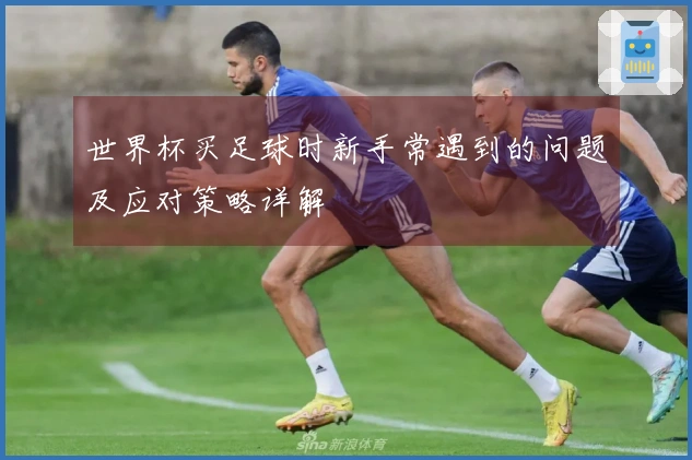 世界杯买足球时新手常遇到的问题及应对策略详解