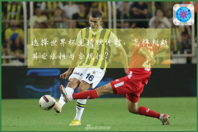 选择世界杯竞猜软件时，怎样判断其合法性与合规性？