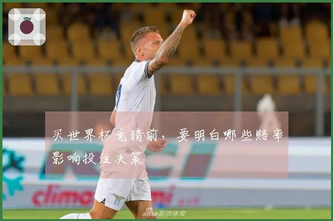 买世界杯竞猜前，要明白哪些赔率影响投注决策