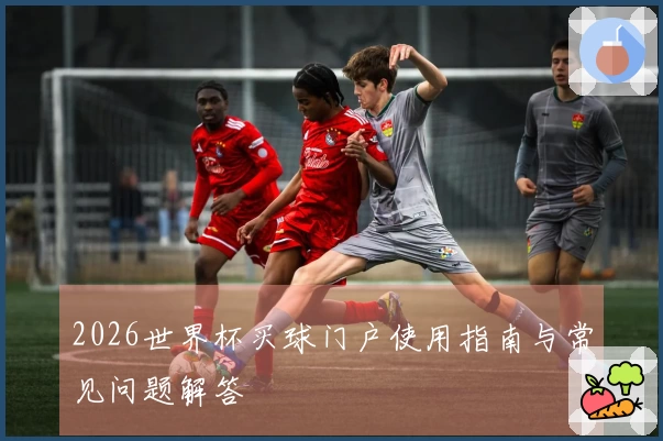 2026世界杯买球门户使用指南与常见问题解答