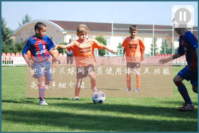 世界杯买球网首页使用体验及功能亮点详细介绍