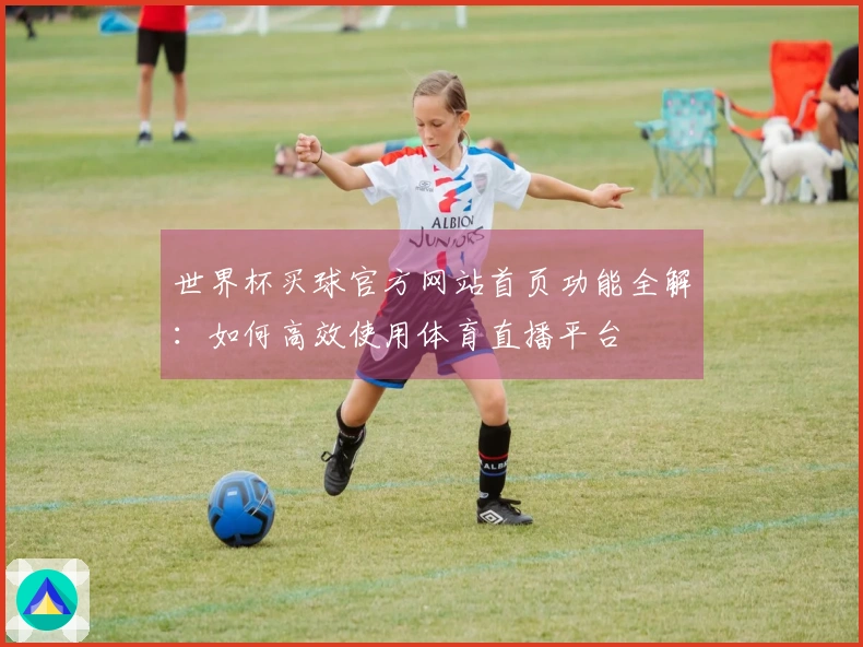 世界杯买球官方网站首页功能全解：如何高效使用体育直播平台